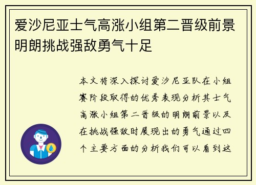 爱沙尼亚士气高涨小组第二晋级前景明朗挑战强敌勇气十足