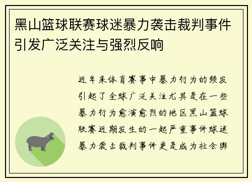 黑山篮球联赛球迷暴力袭击裁判事件引发广泛关注与强烈反响