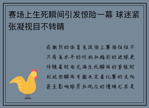 赛场上生死瞬间引发惊险一幕 球迷紧张凝视目不转睛